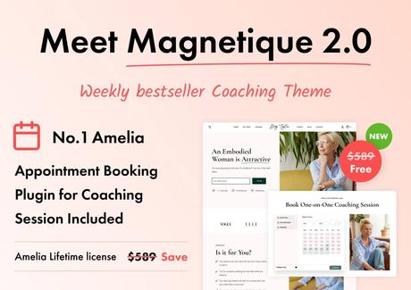 Image de présentation du thème WordPress magnétique