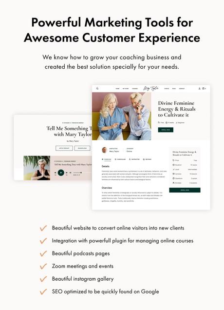 Image de présentation du thème WordPress magnétique