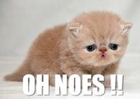 Ces coïncidences statistiques dont on ne veut surtout pas parler