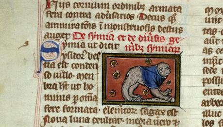 1290 ca de natura rerum Thomas de Cantimpre Valenciennes, BM MS 320 (304) f 77v IRHT