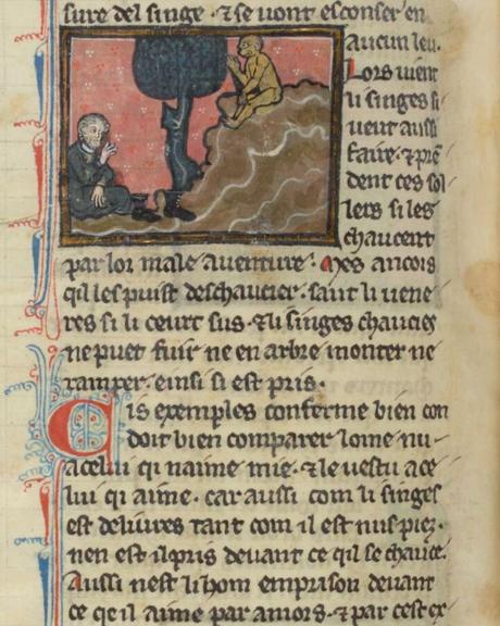 1285 Bestiaire d'amour of Richard de Fournival BNF fr. 412 folio folio 229v