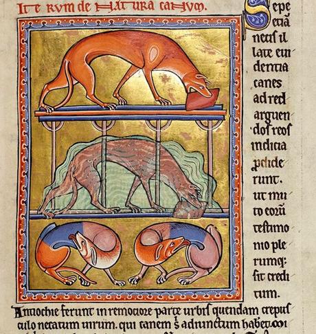 Aberdeen Bestiary, vers 1200, MS 24, folio 19r