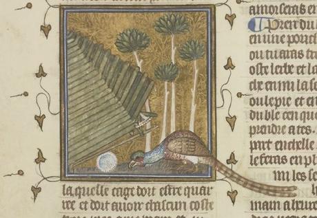 Chasse au faisan Livre_du_roy_Modus et de la Reine Ratio 1379 BNF Français 12399 fol 90v gallica