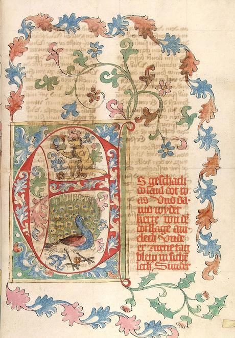 1441-49 Affe und Pfau, 2Sam 1,1 Bibel AT, deutsch Universitatsbibliothek Heidelberg Cod. Pal. germ. 20, Bl. 048r