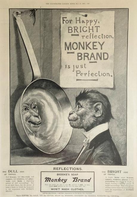 Brooke's_Monkey_Brand_Soap_advert The illustrated London News 19 mai 1900