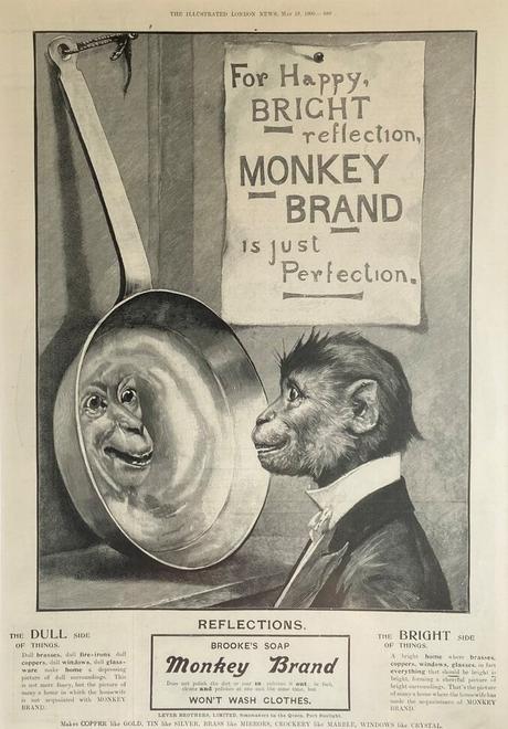 6 Dans les temps modernes Brooke's_Monkey_Brand_Soap_advert The illustrated London News 19 mai 1900