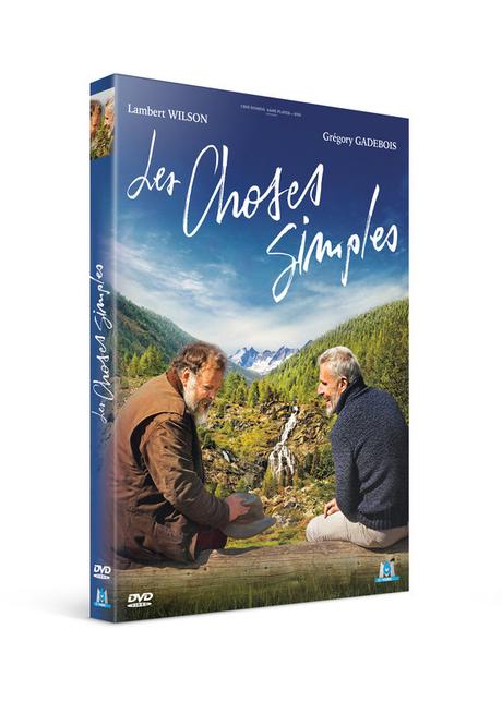 LES-CHOSES-SIMPLES-3D-DVD