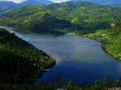 Fêter Saint Jean dans jungle