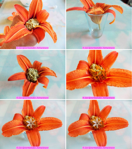 Hémérocalles farcies aux houmous de jardinière de légumes (Vegan)