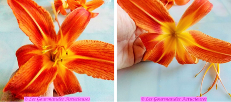 Hémérocalles farcies aux houmous de jardinière de légumes (Vegan)