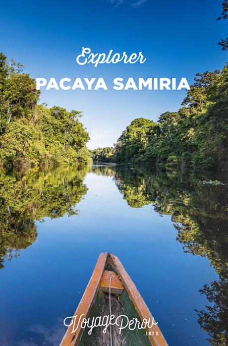 Visiter la réserve de Pacaya Samiria (Iquitos)