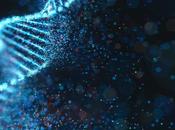 CANCER rôle molécules d'ARN codantes