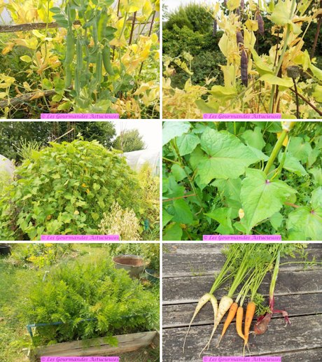 Pâtes aux carottes, petits pois et fanes sur lit de houmous (Vegan) Pâtes aux carottes, petits pois et fanes sur lit de houmous (Vegan)
