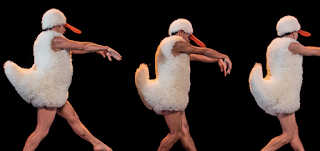 TUTU par les Chicos Mambo