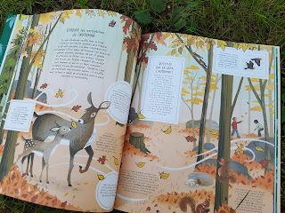 Ces trésors qui t'attendent dehors 💚💚💚