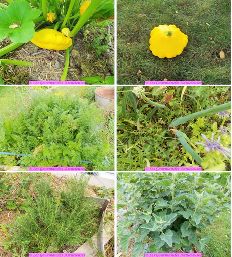 Pâtisson farci aux carottes confites (Vegan)