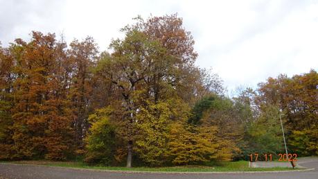 Divers - A la couleur de l'automne