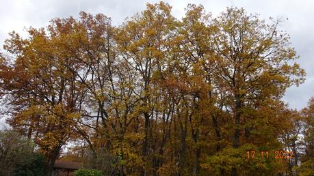 Divers - A la couleur de l'automne