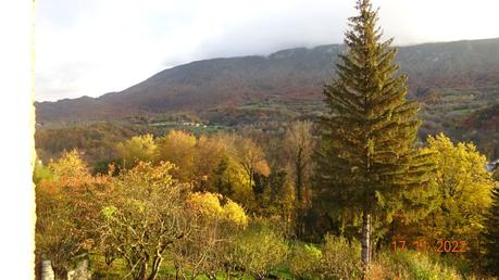 Divers - A la couleur de l'automne