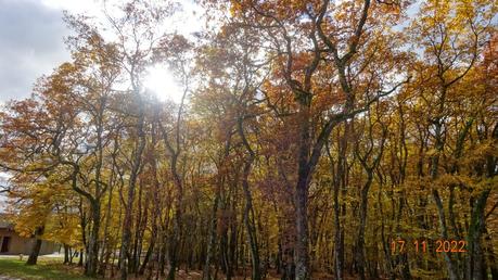 Divers - A la couleur de l'automne