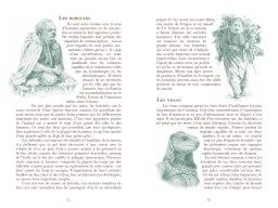 Le Manuel du Sorceleur de Alain T. Puysségur et illustré par Mathilde Marlot (3)