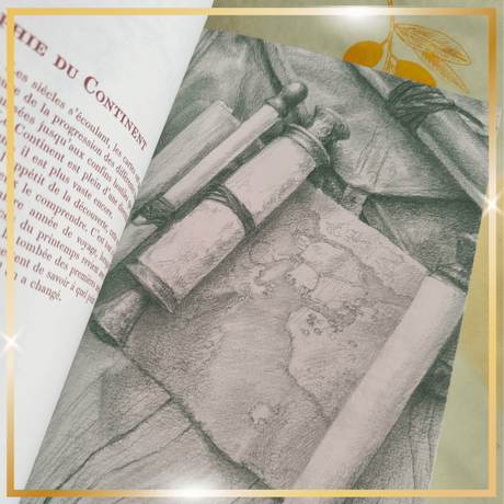 Le Manuel du Sorceleur de Alain T. Puysségur et illustré par Mathilde Marlot