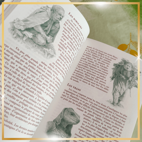 Le Manuel du Sorceleur de Alain T. Puysségur et illustré par Mathilde Marlot