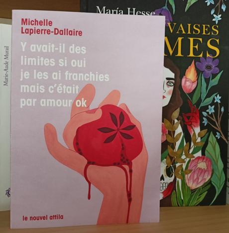 Michelle Lapierre-Dallaire – Y avait-il des limites si oui je les ai franchies mais c’était par amour ok *** Michelle Lapierre-Dallaire – Y avait-il des limites si oui je les ai franchies mais c’était par amour ok ***