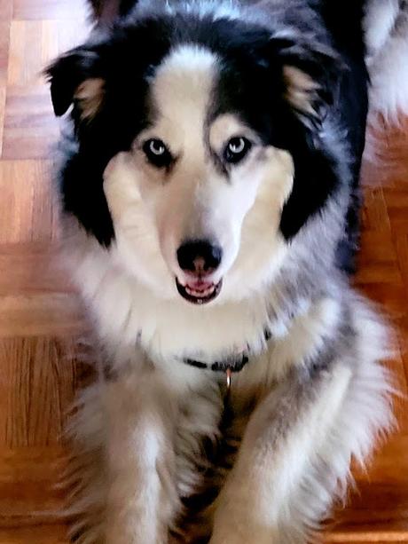 Bananes au four avec sauce au beurre d'arachides et érable