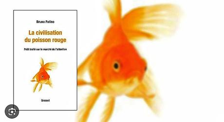 La civilisation du poisson rouge
