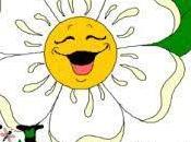 Divers quelques petits idées retenir