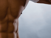 L'importance muscler transverse