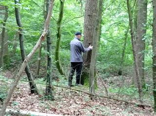 Comment la nature soigne notre tête
