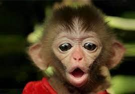 On Casse Tout, Justice