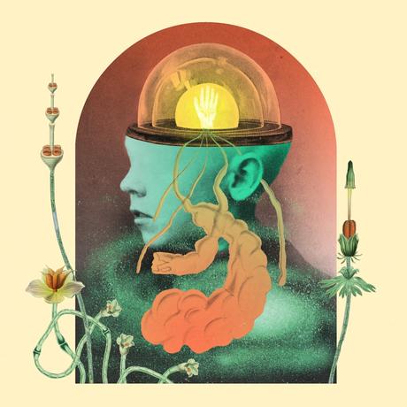 Salami Rose Joe Louis ‘ Akousmatikous Salami Rose Joe Louis ‘ Akousmatikous