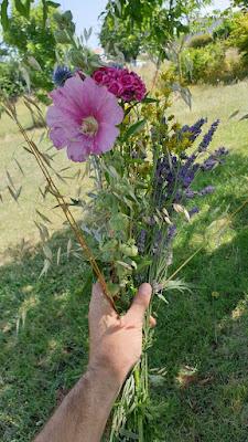 Des nouvelles du front Des nouvelles du front