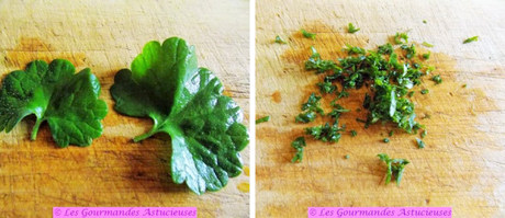 Courgette et carottes pour une entrée surprenante (Vegan) Courgette et carottes pour une entrée surprenante (Vegan)