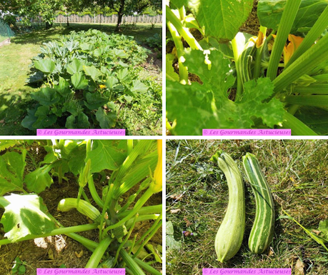 Courgette et carottes pour une entrée surprenante (Vegan) Courgette et carottes pour une entrée surprenante (Vegan)