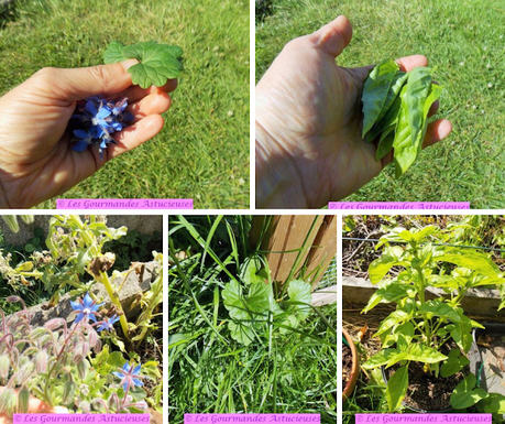 Courgette et carottes pour une entrée surprenante (Vegan) Courgette et carottes pour une entrée surprenante (Vegan)
