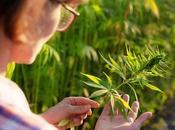 Qu’est-ce pourquoi l’intégrer routine