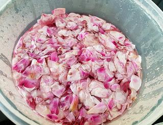 Verser de l'eau bouillante sur vos pétales de rose - DIY Eau de Rose par CocoFlowder
