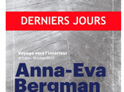 derniers jours- Musée d’Art Moderne- Palais Galliera-