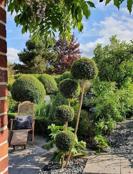 jardin buisson terrasse deco exterieure