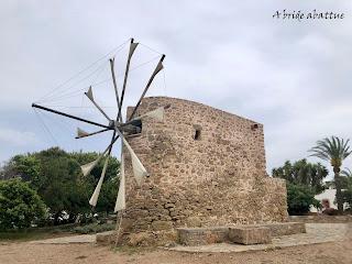 L'huile d'olive crétoise