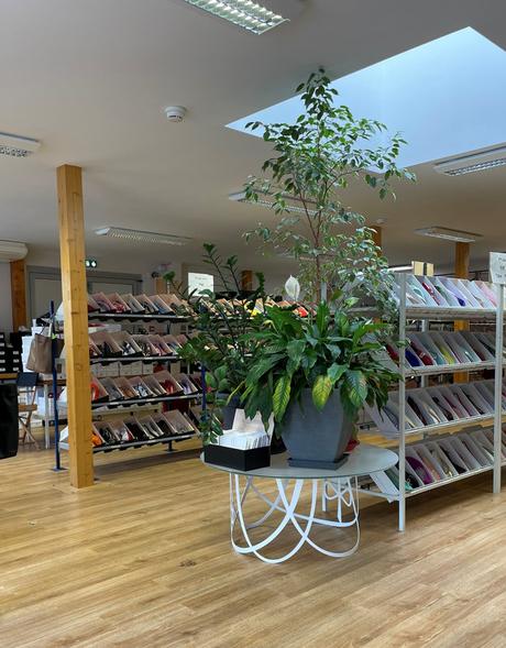 Repetto, l'excellence à la pointe des pieds IMG_1980