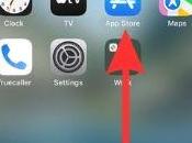 contacts WhatsApp s’affichent Voici quelques correctifs pour iPhone