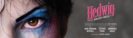 Avignon OFF 2023: QUAND LA MUSIQUE EST BONNE (focus sur 3 spectacles musicaux) 3125x896-slide-hedwig3-2048x587