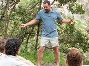 Heat (Mini-series, épisodes) rififi pendant forêt