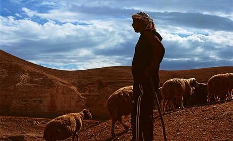 judee-photos-768x466