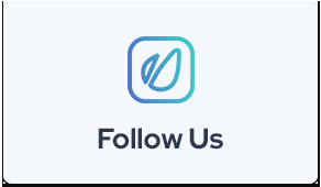 Stradale - Thème WordPress pour café et restaurant - 4